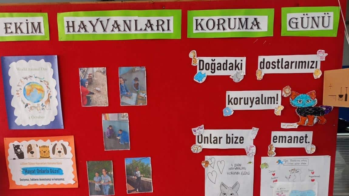 4 Ekim Hayvanları Koruma Gününü Kutladık